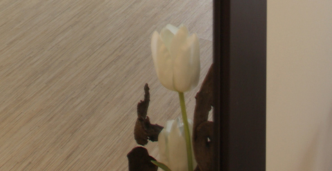 Sorteo Gratis hoteles