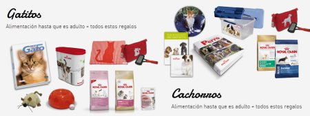 Sorteo gratis Royal Canin